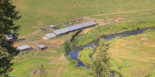 Montana hay meadows