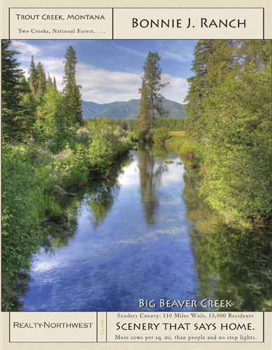 Montana Ranch, stream, National Forest, Trout Creek