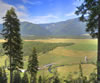 Bonnie J. Ranch, Trout Creek, Montana: Forest Service Road Viewpoint
