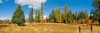 Bonnie J. Ranch, Trout Creek, Montana: Fields
