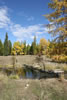 Bonnie J. Ranch, Trout Creek, Montana: Little Beaver Creek