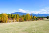 Bonnie J. Ranch, Trout Creek, Montana: Rolling Hills