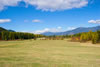 Bonnie J. Ranch, Trout Creek, Montana: Fields