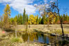 Bonnie J. Ranch, Trout Creek, Montana: Little Beaver Creek