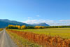 Bonnie J. Ranch, Trout Creek, Montana: The drive in, a private dead-end drive.