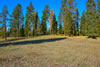 Bonnie J. Ranch, Trout Creek, Montana: Rolling hills