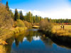 Bonnie J. Ranch, Trout Creek, Montana: Beaver Creek