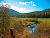 Bonnie J. Ranch, Trout Creek, Montana: My favorite building site.