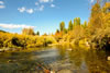 Bonnie J. Ranch, Trout Creek, Montana: Big Beaver Creek Fall Foliage
