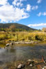 Bonnie J. Ranch, Trout Creek, Montana: Beaver Creek