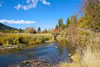 Bonnie J. Ranch, Trout Creek, Montana: Beaver Creek