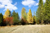 Bonnie J. Ranch, Trout Creek, Montana: More scenery