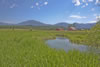 Montana-Ranch-Land-9